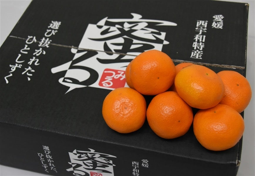 産地直送 通販 お取り寄せ「蜜るみかん」約4kg(特秀S~L)☆JAにしうわみつる共選特選みかん☆ 【発送期間限定】11月20日から11月30日の間に発送予定: JA全農えひめ直販ショップ|JAタウン 産地直送 通販 お取り寄せ「蜜るみかん」約4kg(特秀S~L)☆JAにしうわみつる共選特選みかん☆ 【発送期間限定】11月20日から11月30日の間に発送予定: JA全農えひめ直販ショップ|JAタウン