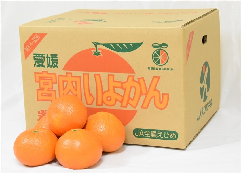 【専用出品】いよかん 選べる！ゼリー4個セット（伊予柑） | 【BEMAC公式通販】えひめ自然の