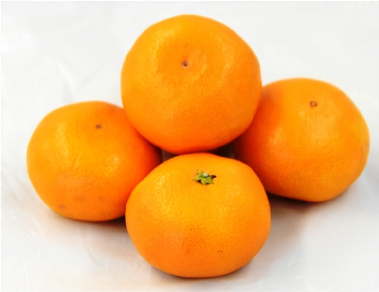 マル浜みかん 約10kg(良MまたはLサイズ) JAにしうわ八幡浜共選 ... 本州、四国宛限定 美浜みかん10キロ
