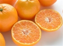 yrg|Szu˂̐PvSir`QkĵΉsi`܂΂@yԌz16`110̊Ԃɔ\