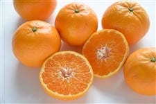 ygq|Sz͂Ђ߁@SiGr`Qkj@i`܂΂yԌz125`1211̊Ԃɔ\