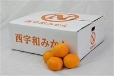 Fa݂ RipEr`kTCYj@i`ɂ @yԌz1115`1125̊Ԃɔ\
