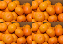 お歳暮】 西宇和小玉みかん 約5kg（秀2Sサイズ） JAにしうわ