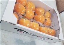 H񂿂́u`viaEZʁjyԌzZZ`ZZ̊Ԃɔ\