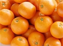 yxjPOzu{ɗ\vPOiGk`2kj@i`܂΂ yԌz17`114̊Ԃɔ\