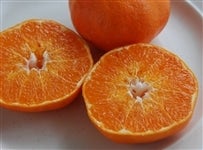 yjo|TOzuÕvTiGl`SLj@i`܂΂yԌz119`131̊Ԃɔ\