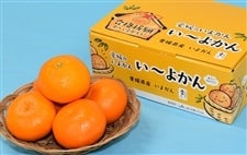【専用出品】いよかん 合格祈願 いよかん」 愛媛県産宮内いよかん（良以上2Lまたは3L・5