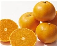 �y�h�r�d�T�O�z�u���Ƃ��v��T�����i�G�r�`�Q�k�j���̂��Ή��s���i�`�������܂΂�@�y�������Ԍ���z3��16���`3��31���̊Ԃɔ����\��