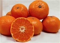 �w���܂݁x�i���ƒ�p�j ��Q�����i�ǈȏ�Q�r�`�R�k�T�C�Y�����j���Q���Y�@�������������@���T�C�Y�s������