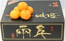 yΕz ̊ۂ݂ TiS`kTCYj@i`ɂ̊ۋI @yԌz121`1210̊Ԃɔ\