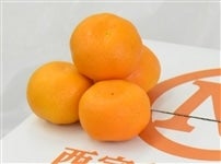 Faʂ݂ XiǂQkji`ɂ픪lI@yԌz1115`1125̊Ԃɔ\