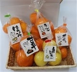 �����������ĉ��u�{�̊��k�H�ׂ���׃Z�b�g�v�i���k�R�`5��ނ̃Z�b�g�j���i��w��s���y�������Ԍ���z1��28���`2��4���̊Ԃɔ����\��