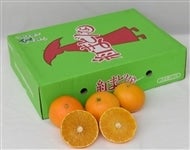 4大産地の最上級みかん4種詰め合わせ(和歌山 SQ・愛媛 味ピカ