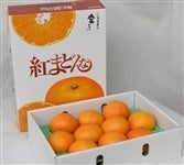 yȂz ug܂ǂȁvpiǂkPTʁ`SkWʉϔj@i`Ђߒ@ʌʉi@yԌz1210`1212̊Ԃɔ\