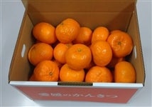 ���Q���Y���ƒ�p�u�͂�Ђ߁v��R�D�T�����i2�r�`3�k�����j���̂��Ή��s���@��1���V���ȍ~�����\��@���T�C�Y�s������