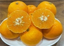 �u�܂�Ђ߁v���ƒ�p�@��Q�D�S�����i�ǈȏ�Q�r�`�Q�k�����j���Q���Y�����Q�I���W�i�����k���@���Q��9���ȍ~�����\��@���T�C�Y�s������