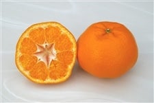 p ʃTCYu͂݁vTiDȏQk`RkTCYji`ɂO苤IyԌz117`130̊Ԃɔ\