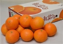 yΕzg܂ǂ iGkPTʁ`SkWʉϔji`ЂߒyԌz121`1210̊ԂŔ\@xa@lp