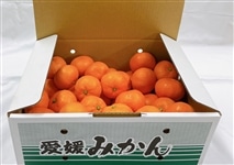 ご家庭用】愛媛県産みかん約2．5kg（2S～S混合）【発送期間限定