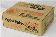 Faʂ݂ SiǂQkj i`ɂ픪lI@yԌz1115`1125̊Ԃɔ\