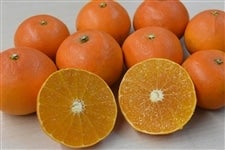 yVPk`RkzƒpuVvSDTiǈȏk`RkjQΊ۔_@yԌz115`131̊Ԃɔ\