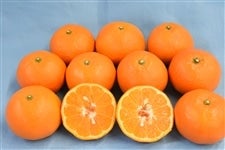 �y�ɗ\���P���R�k�`�S�k�z���ƒ�p�u�{���ɗ\���v��S�����i�ǈȏ�R�k�܂��͂S�k�j�����Q�����������Ί۔_���i�ΌF�_���j���y�������Ԍ���z1��20���`1��31���̊Ԃɔ����\��