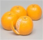 �y�Q�k�X�����z �|���J����X�����i�Q�k�T�C�Y�j �i�`�ɂ�����@�y�������Ԍ���z1��17���`1��26���̊Ԃɔ����\��