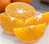 ���Q���Y�u�V���i���܂����j�v��Q�����i�D�ȏ�l�`�Q�k�����j�y�������Ԍ���z1��29���`2��9���̊Ԃɔ����\��@���T�C�Y�s������