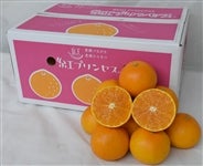 �u�g�v�����Z�X�v��T�����i�ǈȏ�l�`�S�k�j�i�`���Ђߒ����@�����Q�I���W�i���i�큚�@�y�������Ԍ���z3��17���`3��25���̊Ԃɔ����\��