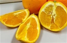 �u�l�[�u���v���ƒ�p��R�D�T�����i2�r�`�R�k�T�C�Y�����j���Q���Y�@��3��24���ȍ~�����\��@���T�C�Y�s������