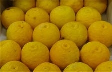  ǂQOuMqvQOiǂlEPO×Qj@i`Ђ@FaMqY@