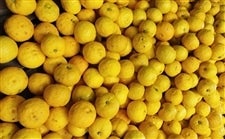  POuMqvPOilXOʑOj@i`Ђ@FaMqY@