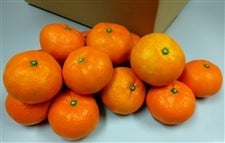 ���Q���Y�u��ʂ݂���v��X�����i�ǈȏ�2�k�T�C�Y�j���i�`�ɂ�����@������������