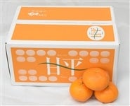 �u�Õ��v��T�����i�G�k�`�S�k�E�{�ݍ͔|�j�i�`�ɂ�����@�����Ԍ���i�`�^�E�����ʉ��i���y�������Ԍ���z1��28���`2��5���̊Ԃɔ����\��