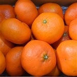 �u�Õ��v��T�D�T�����i�ʏ��T����+�T�O�O���E���ƒ�p�咆�������E�{�ݍ͔|�j�i�`�ɂ����큖�������������T�C�Y�s������