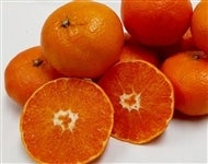 �y�Âl�`�k���z���ƒ�p�u�Õ��v��Q�����i�l�`�k�T�C�Y�����j���Q���Y�@��2��6���ȍ~�����\��@���T�C�Y�s������