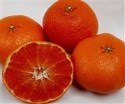 �y�Âl�`�T�k���z���ƒ�p�u�Õ��v��Q�D�V�����i�l�`�T�k�T�C�Y�����j���Q���Y�@��2��6���ȍ~�����\��@���T�C�Y�s������