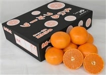 �y���Ƃ����ϔ��z�u���Ƃ��v���ϔ��i�k�P�T�ʁ`�R�k�P�O�ʁj�����Q�����������Ί۔_����������������