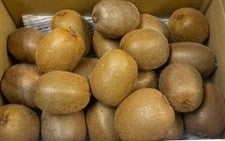 ���P.�W�������u�L�E�C�t���[�c�i�w�C���[�h�j�v��P.�W�����i�ԏG�r�`�k�T�C�Y�����j���Q���Y�@�������������@���T�C�Y�s������