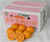 �u�͂邠�����v�i���Q�ʎ���S�W���j��T�����i�l�`�R�k�j�i�`���Ђߒ����@�����Q�I���W�i�����k���@�y�������Ԍ���z3��10���`3��19���̊Ԃɔ����\��