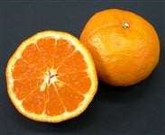 �t�݂̂���u�Ȃ݁v��T�����i�G�k�܂��͂Q�k�j�@�i�`���Ђߓ�@�y�������Ԍ���z4��7���`4��20���̊Ԃɔ����\��