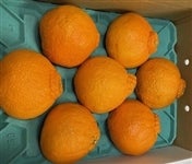 �u�f�R�|���v��P�D�W�����i�k�P�O�ʁ`�R�k�V�ʁj���Q���Y�@��3��24���ȍ~�����\��