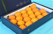 ���ʁu�s�m�΁v���ϔ��i�Q�O�ʂ܂��͂Q�S�ʁj�i�`�ɂ�����@���S��1���ȍ~�����\��