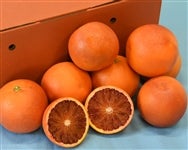 �u�^���b�R�v��R�����i�l�`�R�k�T�C�Y�����j�@�i�`�ɂ�����@��4��1���ȍ~�����\��@���T�C�Y�s������