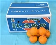 ���ʁu����ʂЁi�s�m�΁j�v��T�����@�i�`�ɂ�����@���S��1���ȍ~�����\��