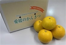 �u�͓��ӊ��v��S�D�T�����i�ǈȏ�r�T�C�Y�j���Q���Y�@��4��21���ȍ~�����\��