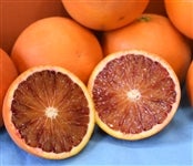 �y�^���T�j�z �u�^���b�R�v��T�����i�l�`�R�k�T�C�Y�����j�@�i�`�ɂ�����@��5��1���ȍ~�����\��@���T�C�Y�s������