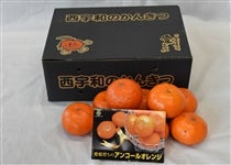 �y�A���Q�D�W�z�u�n�E�X�A���R�[���v ��Q�D�W�����i�k�`�Q�k�T�C�Y����)�@�i�`�ɂ�����@��5��1���ȍ~�����\��@���T�C�Y�s������