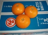 ^S[ Tik`RkTCYjypɂzi`ɂO苤I@yԌz320`331̊Ԃɔ\