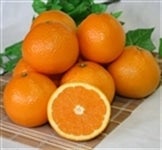  ^S[ikPTʂ܂͂QkPQ) ovXi`ɂO苤I@yԌz610`620̊Ԃɔ\